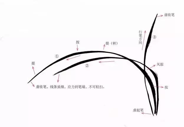 徐湛国画兰花的画法,徐湛国画兰花的画法视频教学