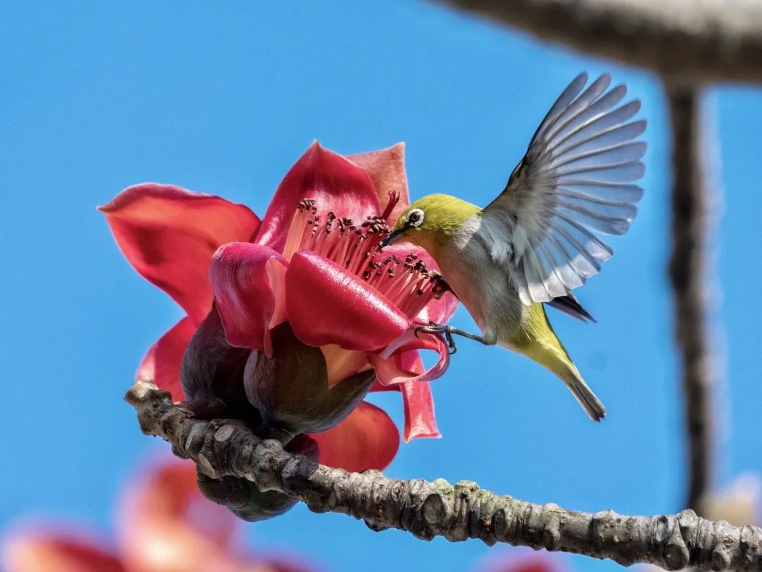 「生态」我在恩平很幸福
