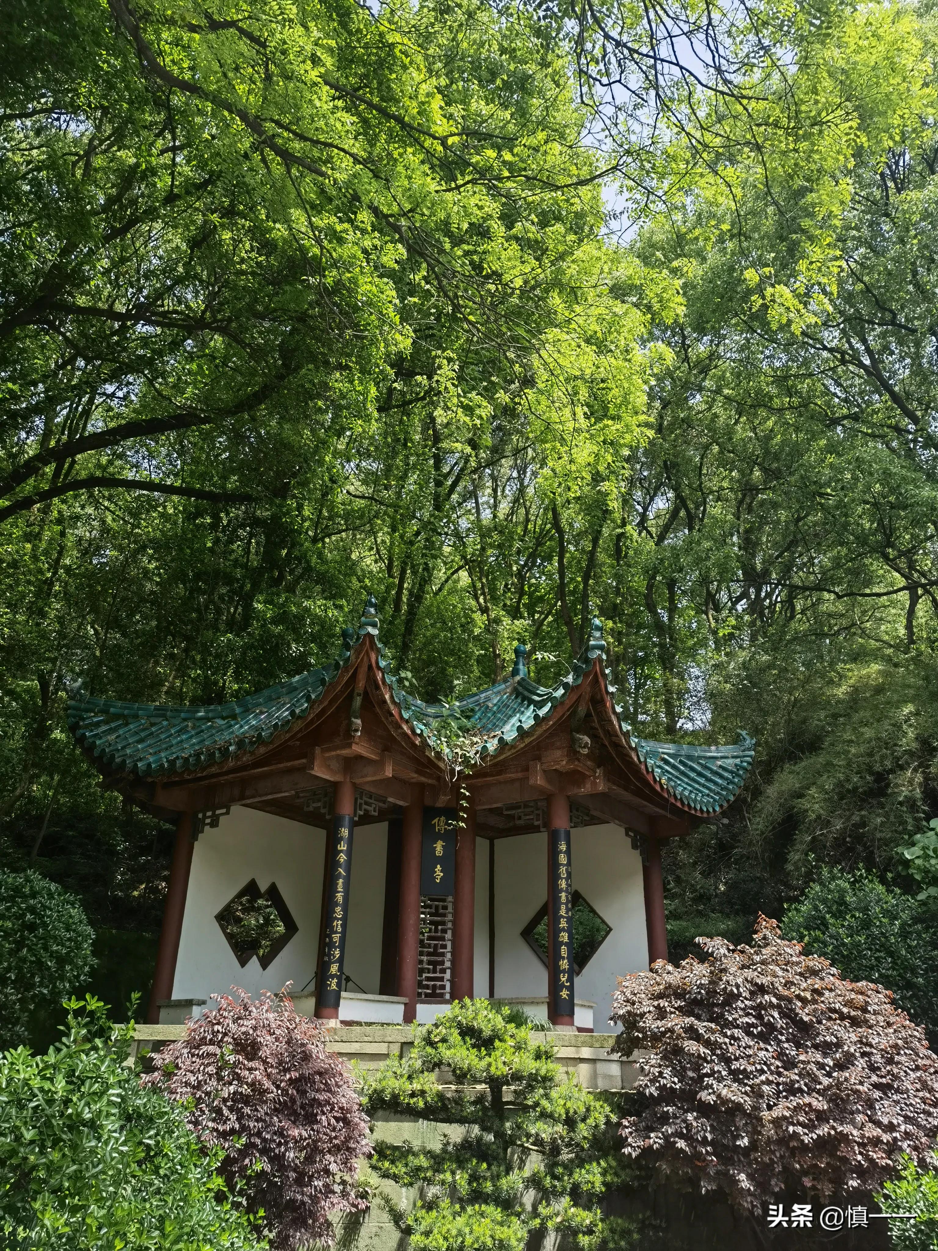 见到传说中的柳毅井传书亭，拜谒湘妃墓、亲眼目睹湘妃竹的真面目