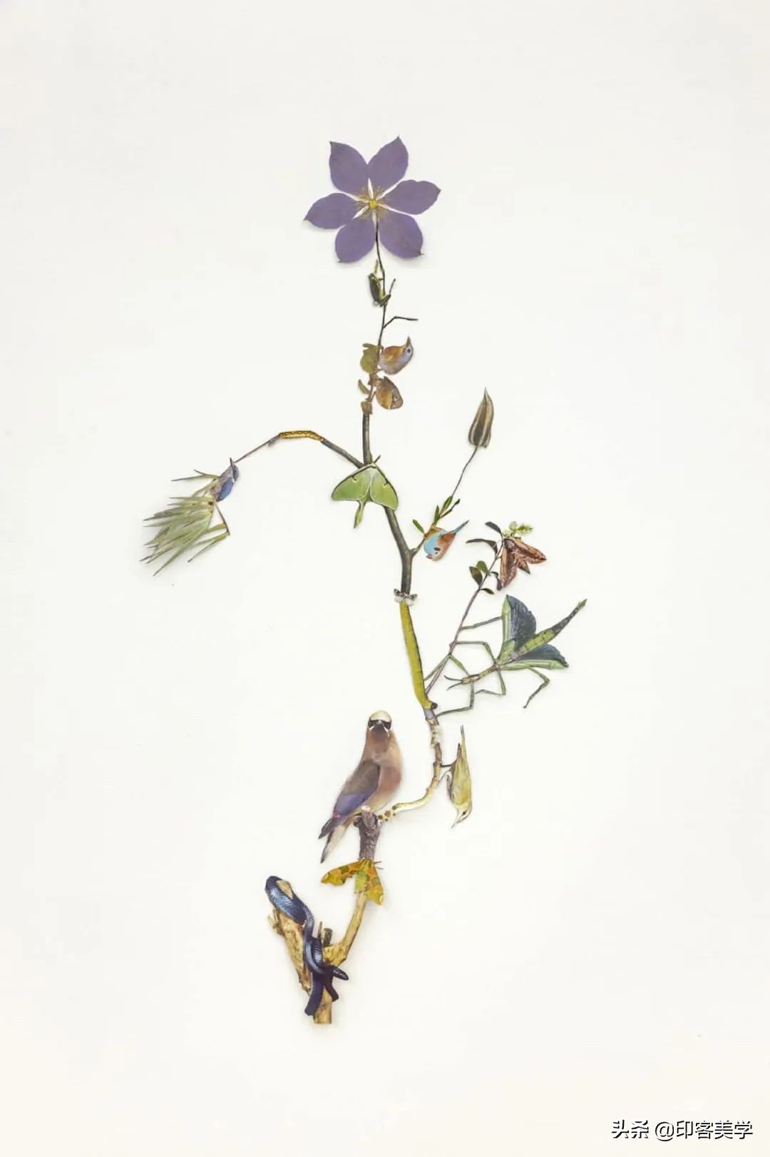 纸的艺术手工作品,惊艳的手工纸艺品