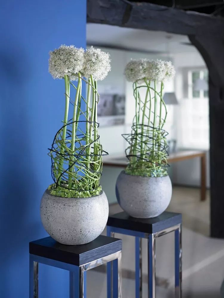 全球花艺播报最新战况,花艺发展趋势