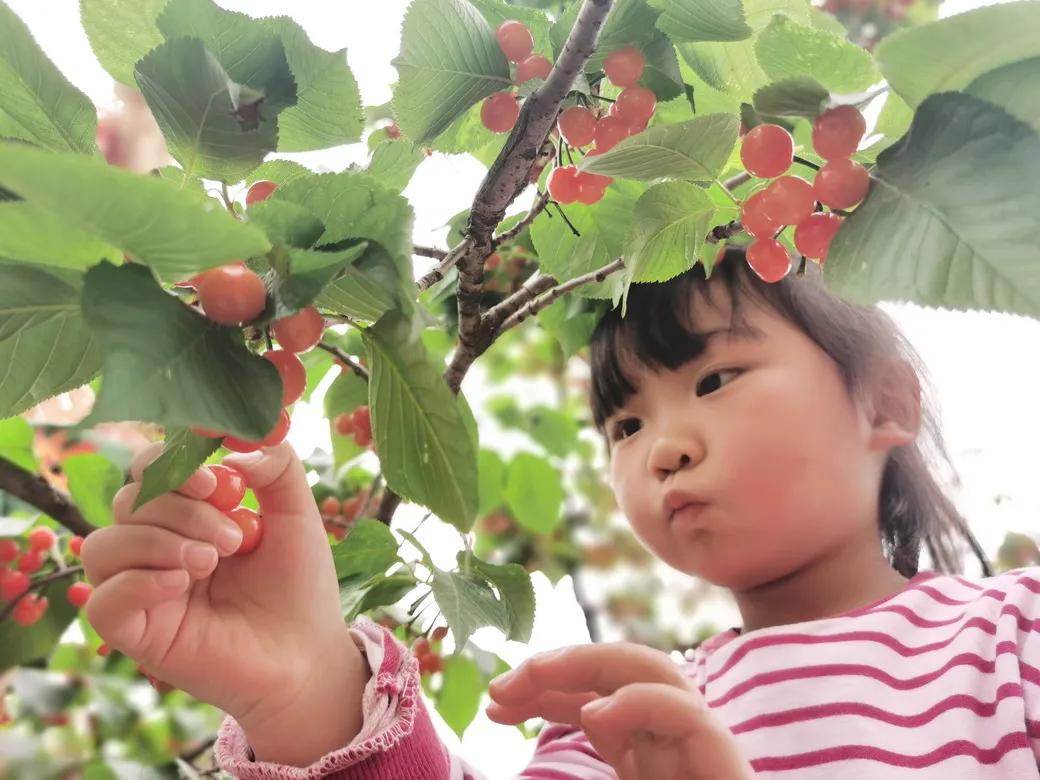 成都市双流区胜利幼儿园主题活动,天府新区幼儿园活动