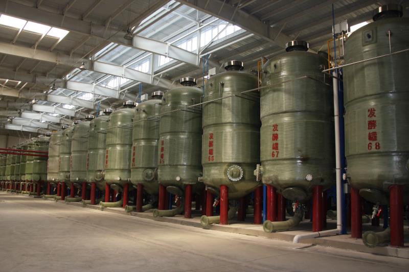 天津国旅旅行社好吗,天津国旅新疆