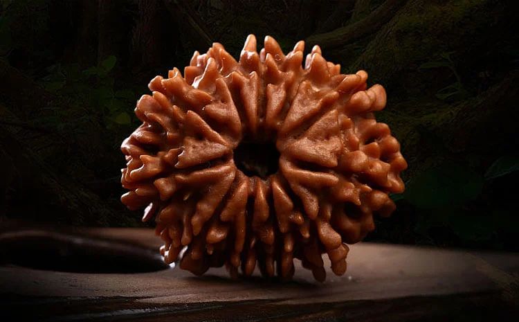 金刚菩提手串常用术语,金刚菩提英文怎么说