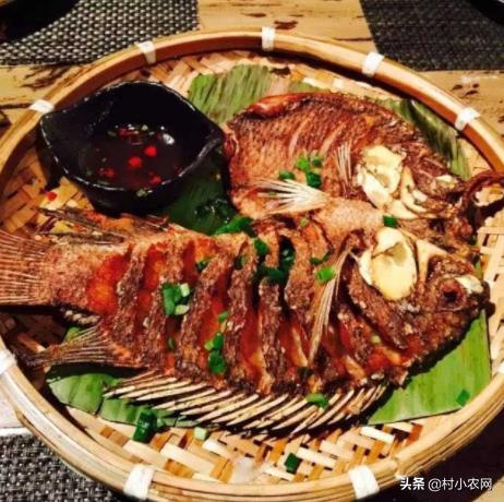 什么鱼养殖一年能长大一倍,养殖回报率最高的鱼