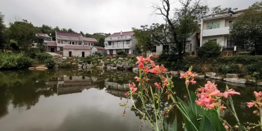 合肥抖音网红打卡景点,合肥100个网红打卡点