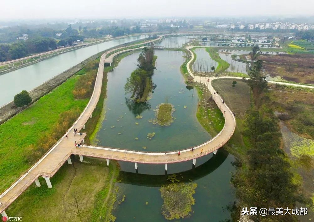 成都首条有轨电车预计年底开通！坐着“丁丁猫”去耍咯！