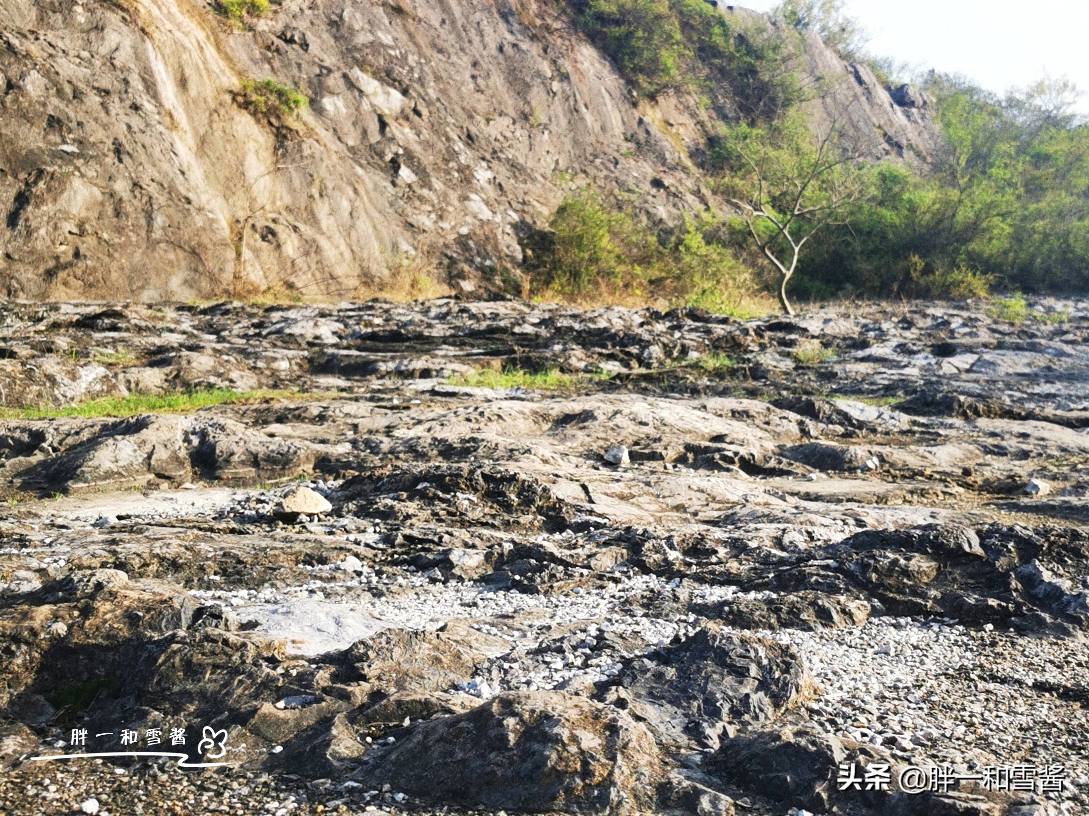 南京汤山温泉文化,南京汤山为什么有温泉