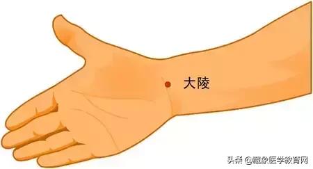 健康管理师需要哪些技巧,健康管理师基础知识100条