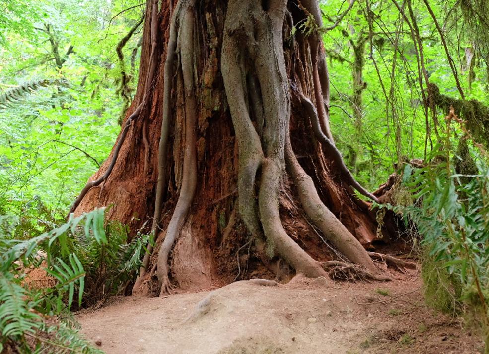 美国物流发展计划书,美国物流行业报告分析论文