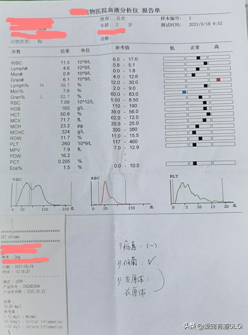 幼犬窝咳治疗费用,幼犬犬窝咳最好的治疗办法