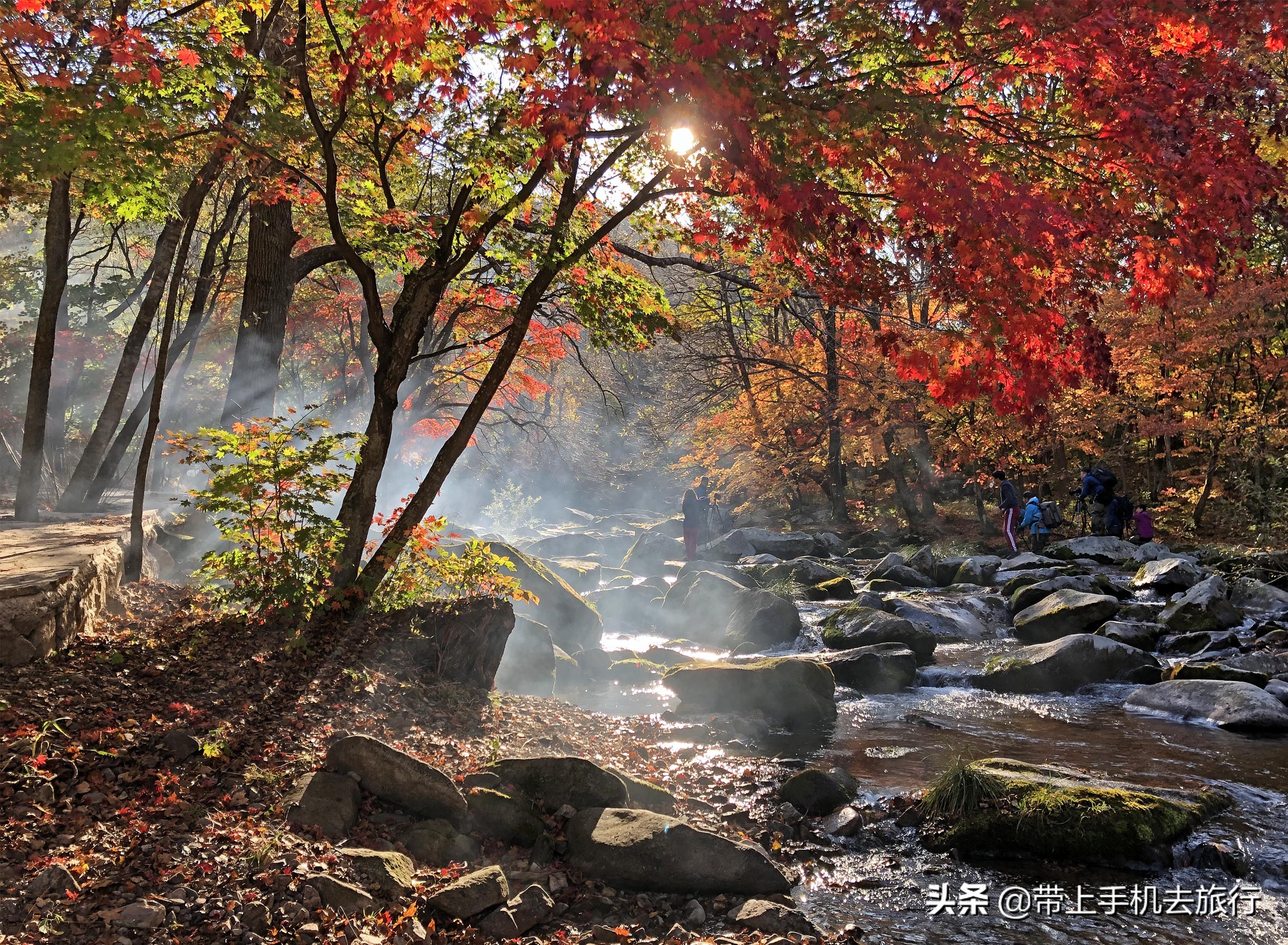 “减法”、虚化和“加法”,让画面瞬间干净简洁唯美