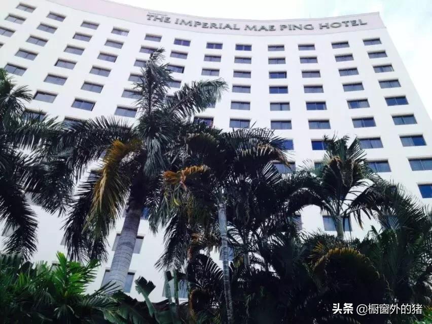 泰北玫瑰的英文,泰北玫瑰图片