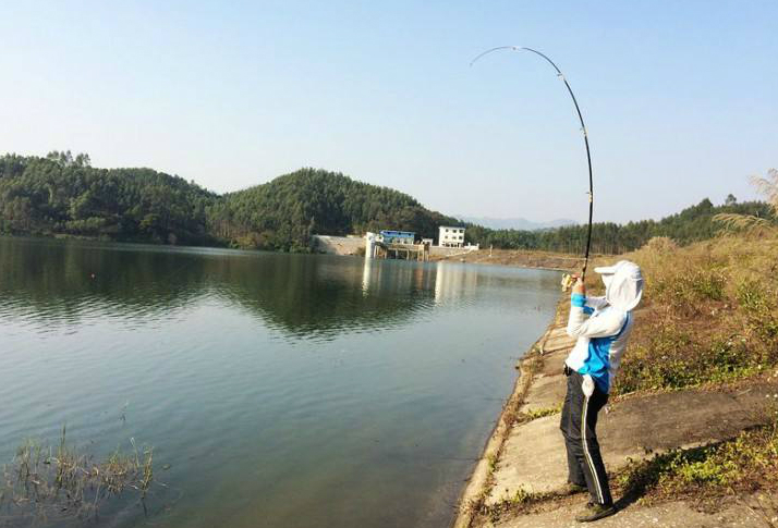 大鱼上钩后,“抱杆”和“摆杆”哪个动作靠谱?崔大师给出答案