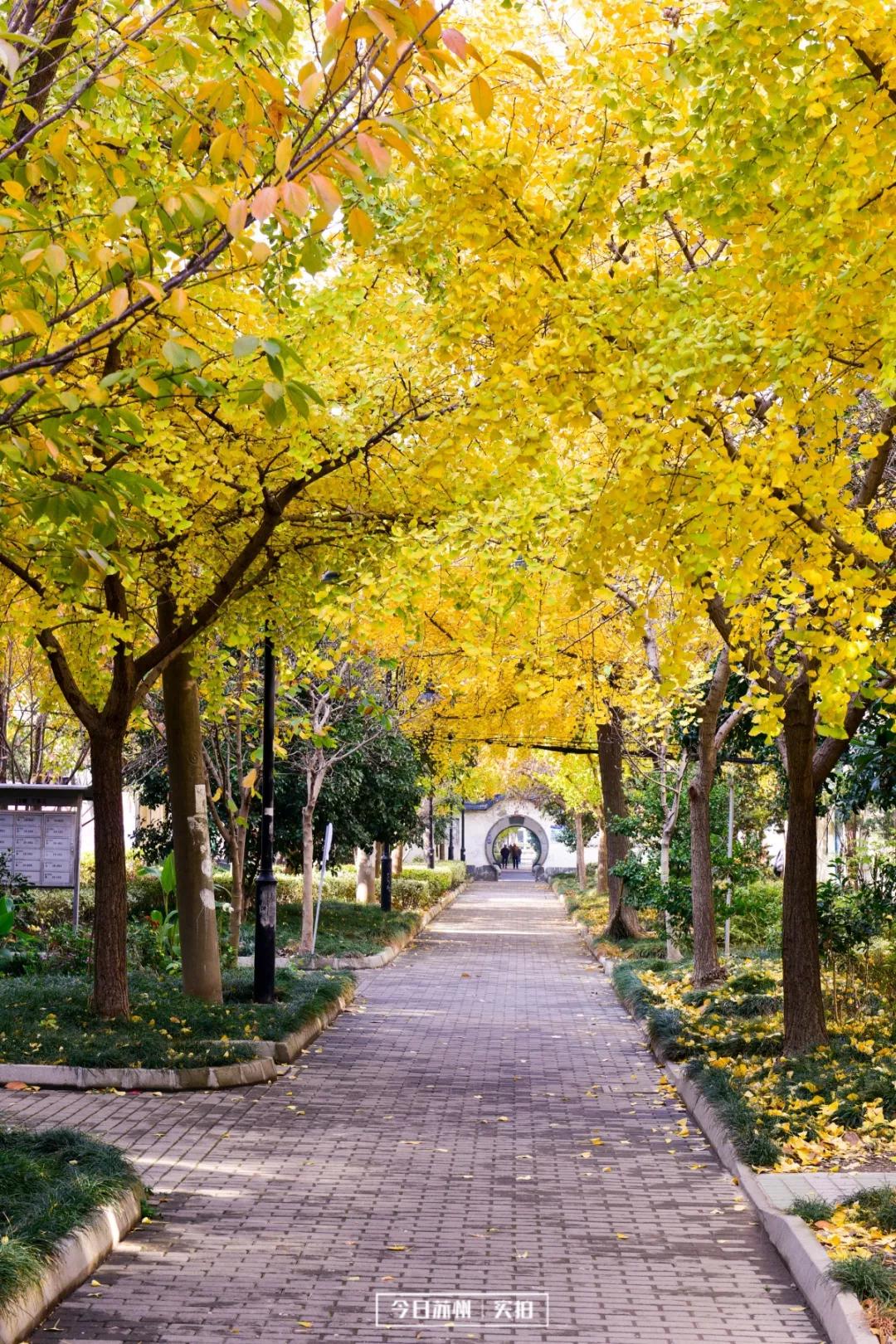 苏州彩香新村以前是什么地方,苏州彩香新村