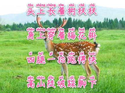 常与孩子猜谜100条儿童谜语建议,儿童睡前谜语简单易懂大全