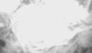 科学家如何观察植物,鸟类的研究方法