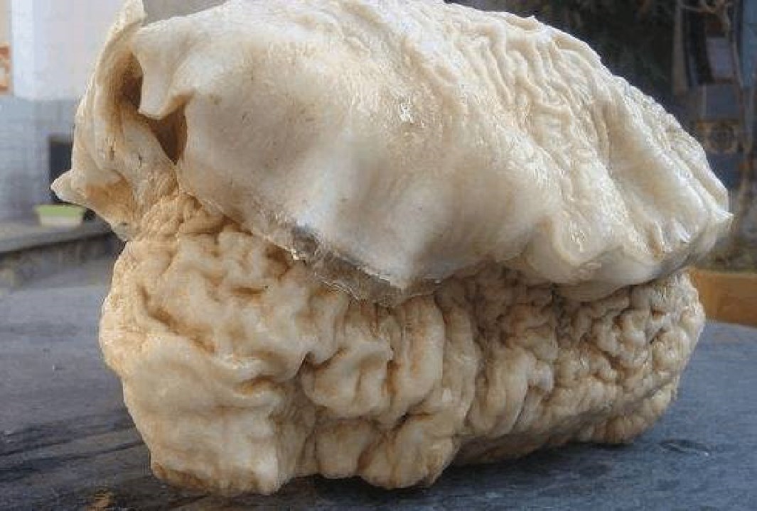 太岁的真实价值,太岁真的那么值钱嘛