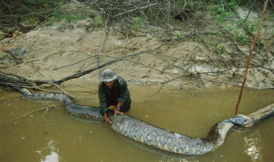 地球诞生时表面温度5000度,地球在10000亿年前发生了什么