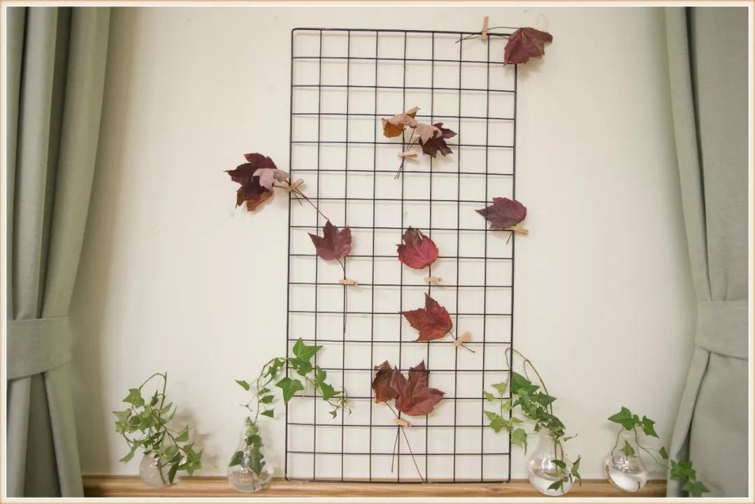 环境创设主题墙大班动物,可爱的小动物大班环境创设