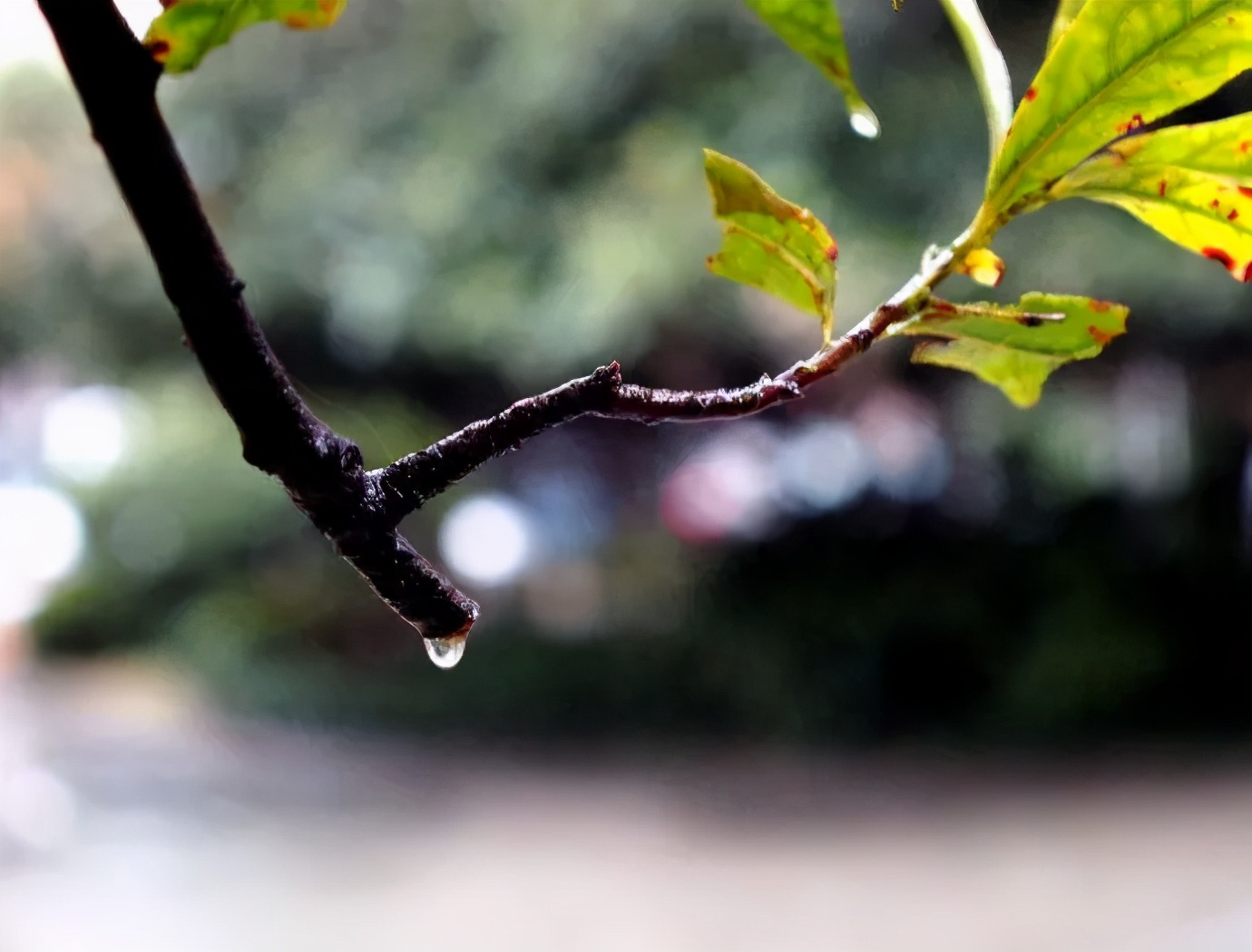 古人让人惊艳的雅称,古人取名艺术