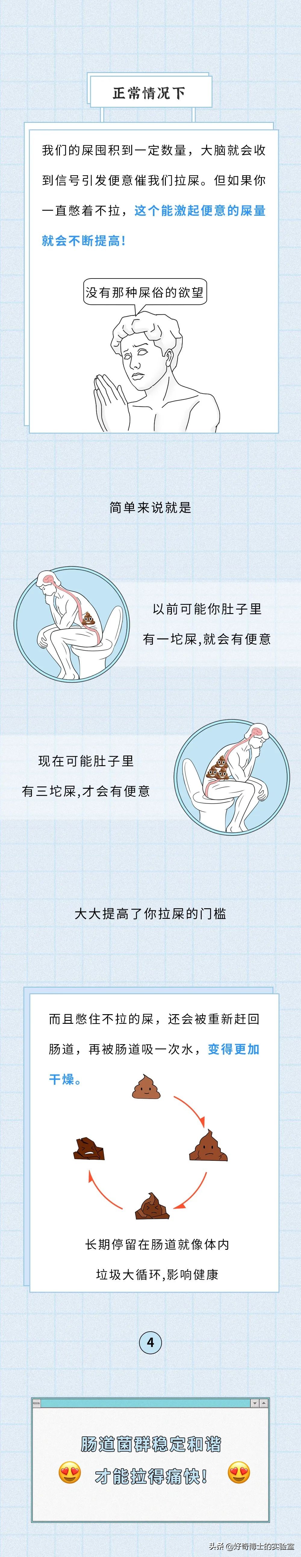 拉屎为什么这么爽,拉屎为什么会很爽