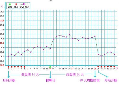 排卵期备孕两个月没怀上正常吗,在排卵期备孕没有怀上怎么回事