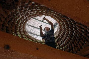 汪涵高圆圆,汪涵赵又廷