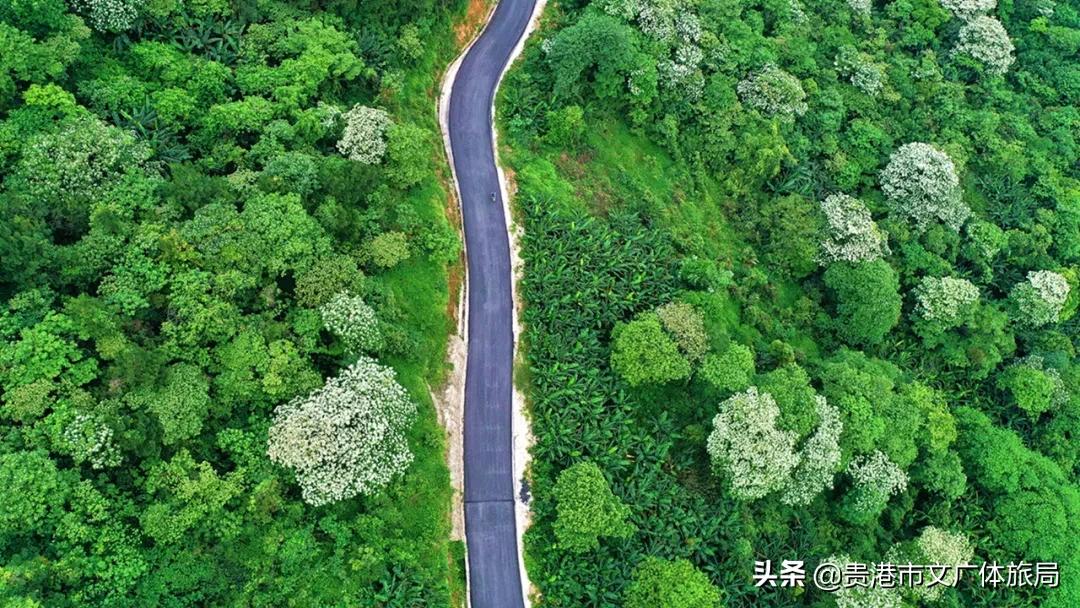 贵港爬山推荐景点,贵港爬山推荐景点有哪些