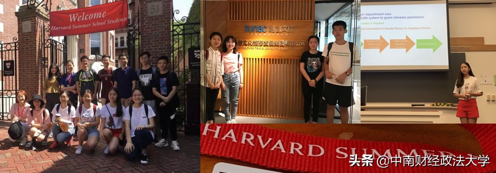 研学中的精英教育,研学培养学生的能力