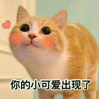 猫的100种奇特行为,猫咪的笑是怎么弄出来的