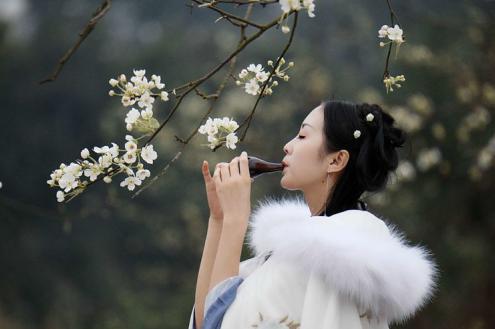 成都春游好去处周末 (成都周边周末春游推荐)