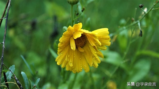 人生正能量的阳光短句句句精辟,正能量生活充满阳光的句子