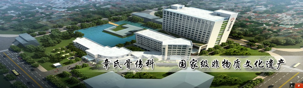 非物质文化遗产接骨膏药,国家级非物质文化遗产正骨