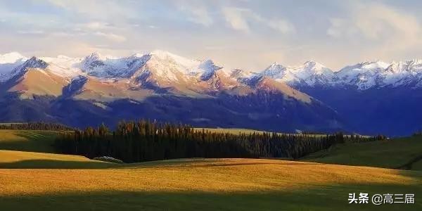 志愿填报中国十大名校有哪些,填报志愿2024院校排名