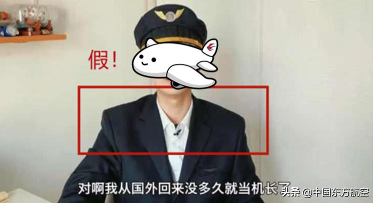 飞行员打假事件,飞行员评判标准