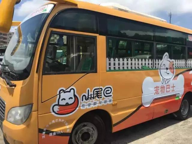 什么地方适合带猫狗玩耍,北京铲屎官可以带狗玩的地方