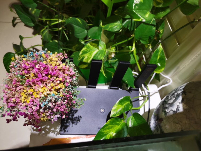 你家的wifi为什么这么慢,你家的wifi信号是不是这样的