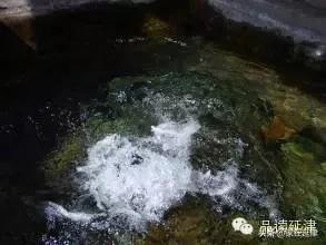 延津民间故事,延津民间故事视频