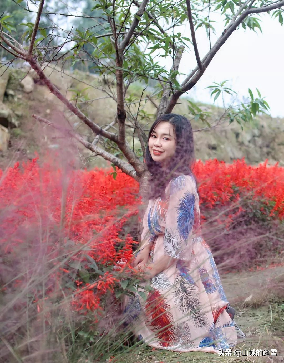 乐山嘉阳小火车值得去吗,嘉阳小火车与乐山大佛相隔多远