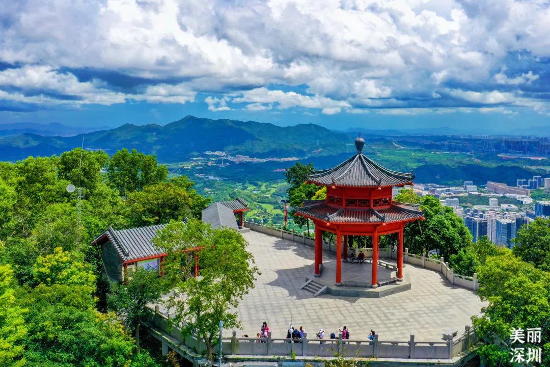 国庆深圳好去处,深圳有什么好玩的地方景点推荐
