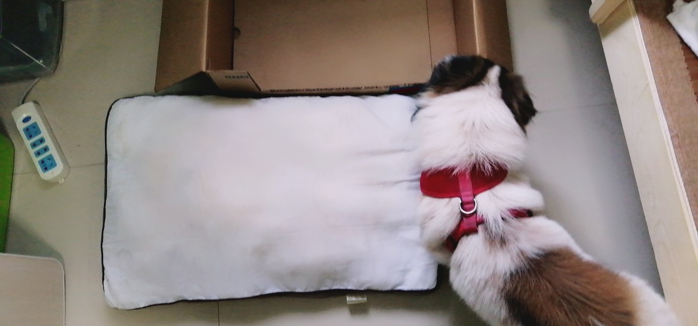 纸箱狗窝制作方法,大型狗窝制作方法用纸箱子