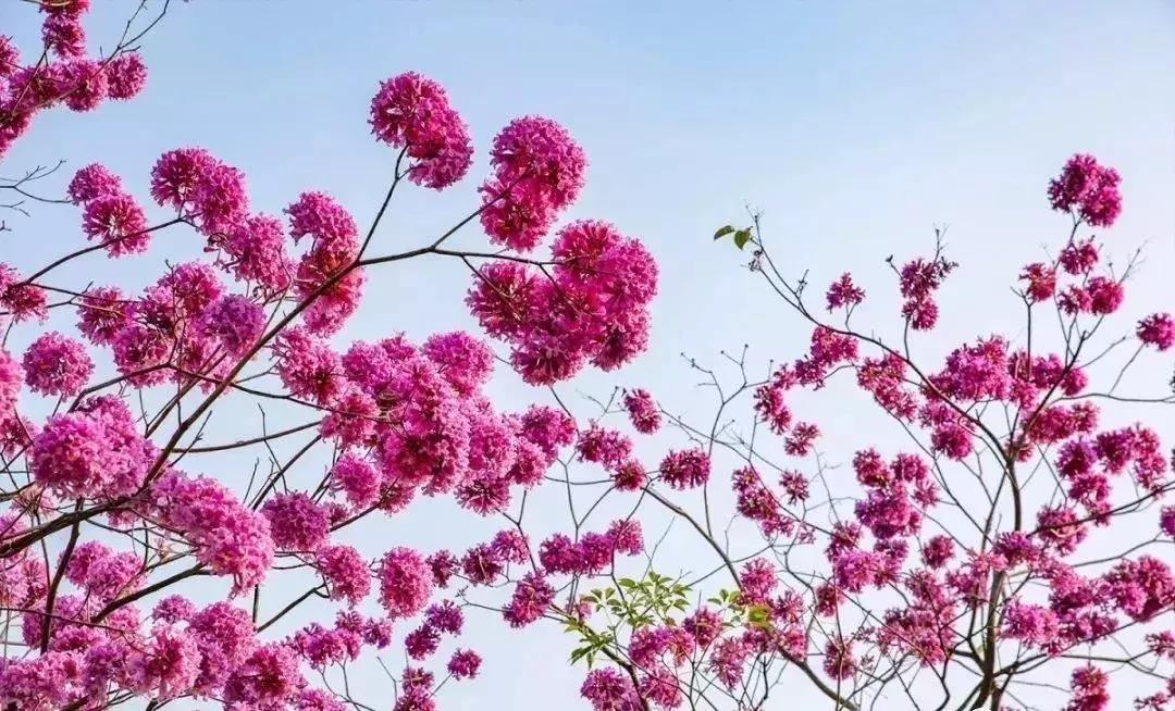 惠州趣味运动会项目推荐,惠州户外趣味运动会