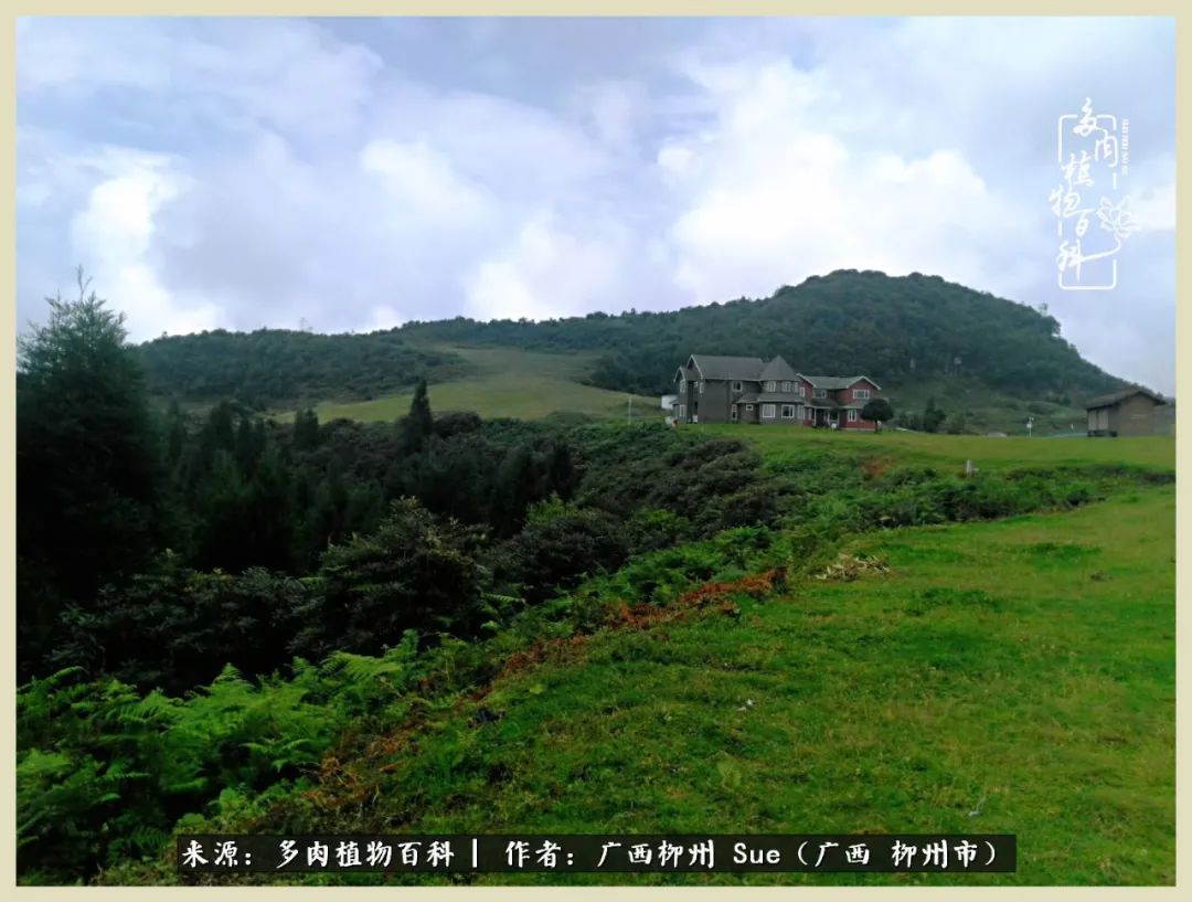 艳阳高照凉爽贵州,我要勤快地捕捉美好!(二)