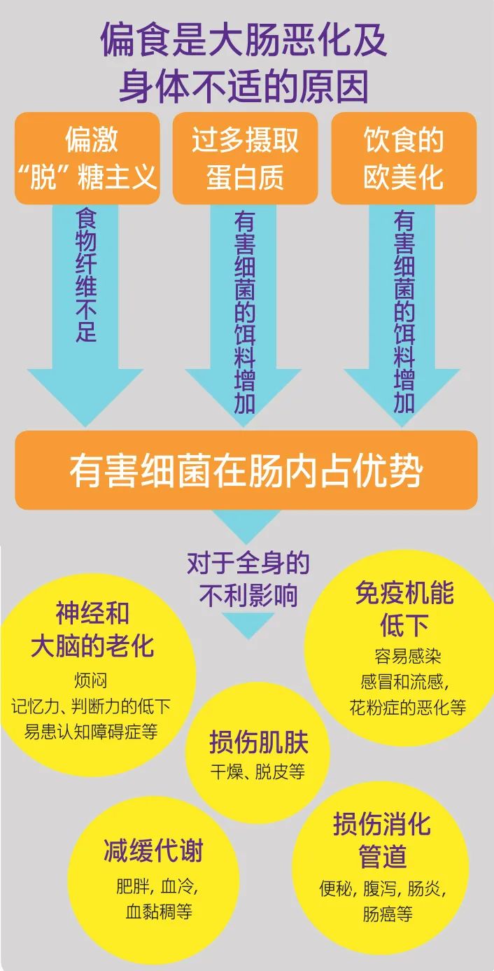 大肠健康管理,大肠杆菌对身体的益处