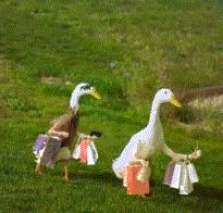 乔欣有一个三亿豪宅的存在吗,乔欣三亿豪宅是真的么