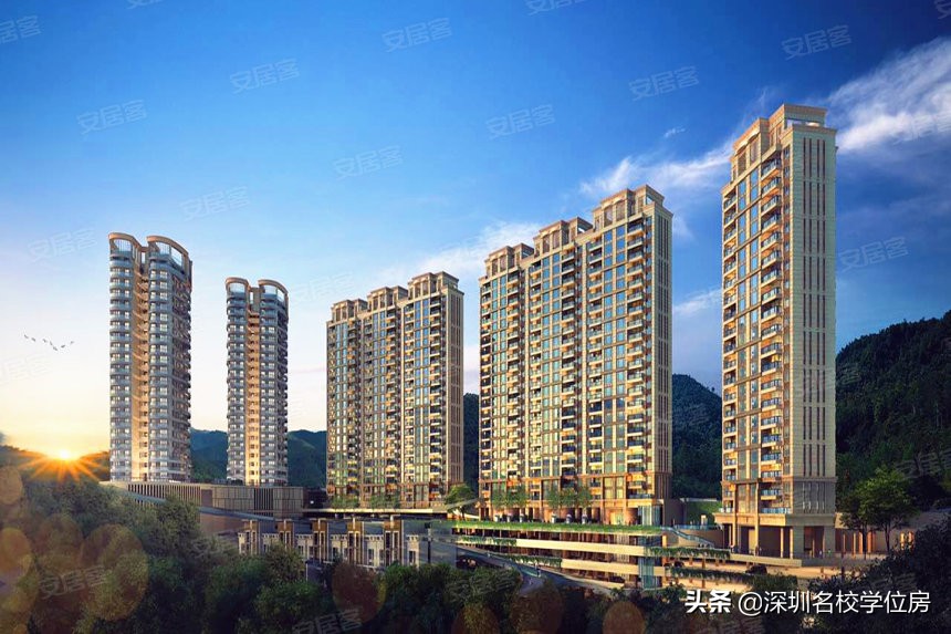 一句话点评深圳公办中学,深圳较好的公办中学