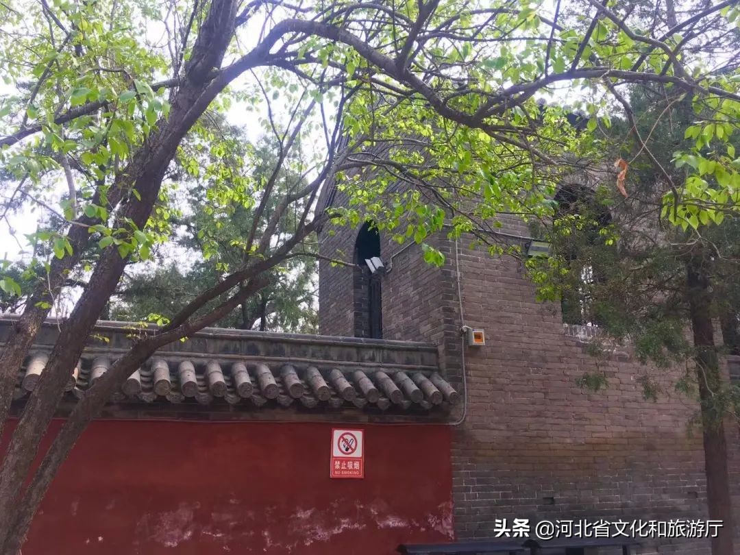 什么魅力？让一场黄粱梦穿越千年