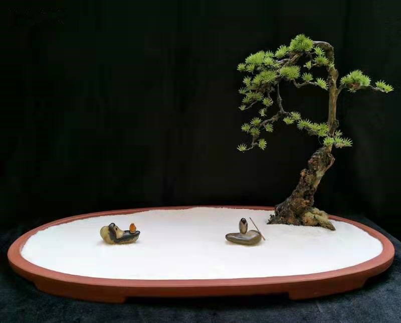 “乘风破浪的石头”入围作品展播