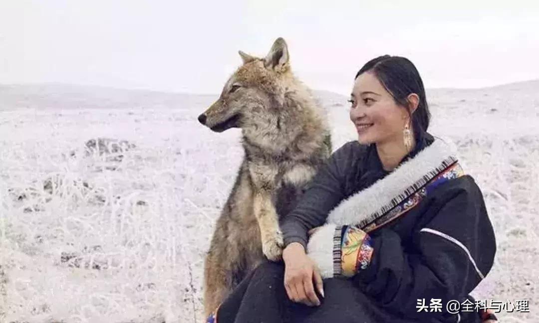 佛说你所有的福气都藏在脾气里,所有得失皆是因果